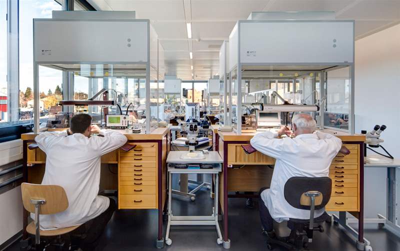 2017 年及以后手表行業(yè)可能的經(jīng)濟增長領域-復刻表