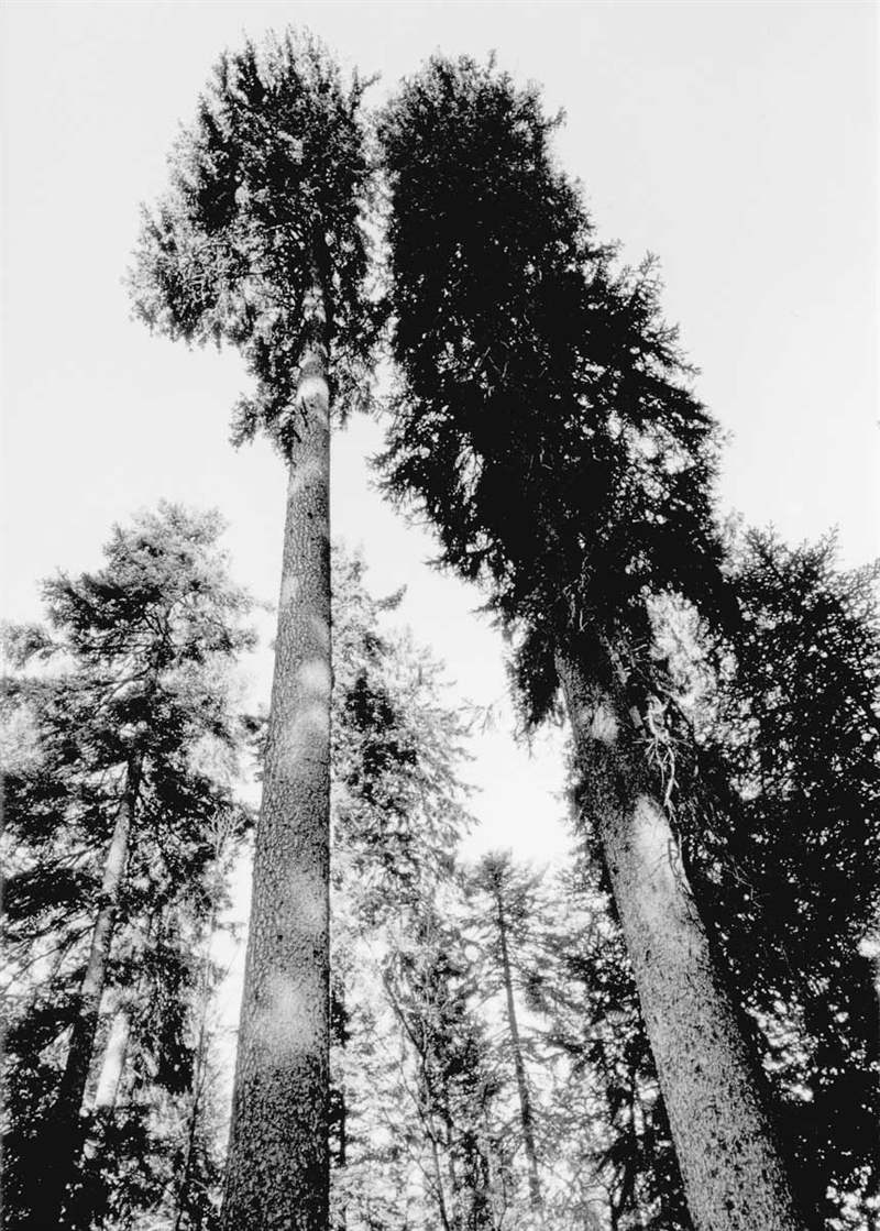 MB&F MusicMachine 2是星際迷航USS Enterprise的音樂頌歌-復(fù)刻表