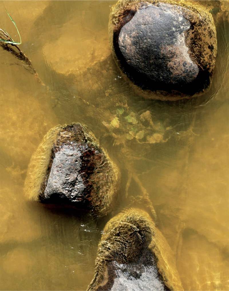 深礦是危險的地方,致命事故是生活中的事實。-復刻表