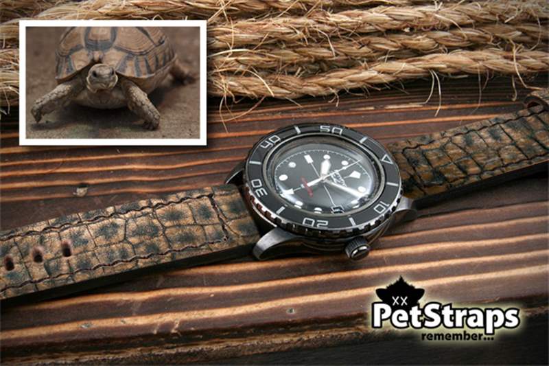 PetStraps:寵物伴侶的愛存在于……您的手腕上-復(fù)刻表