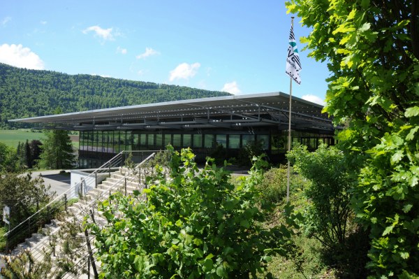 Villeret Nivarox 公司 Nivarox內(nèi)部——瑞士鐘表業(yè)的心臟-復(fù)刻表